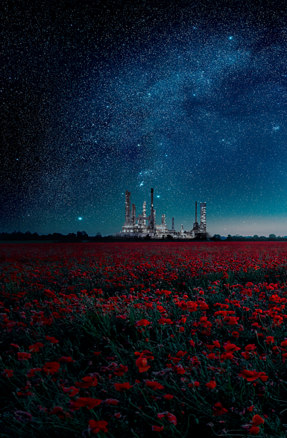 BASF Green Map BASF Catalysts