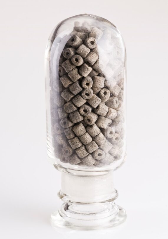 BASF Green Map BASF Catalysts