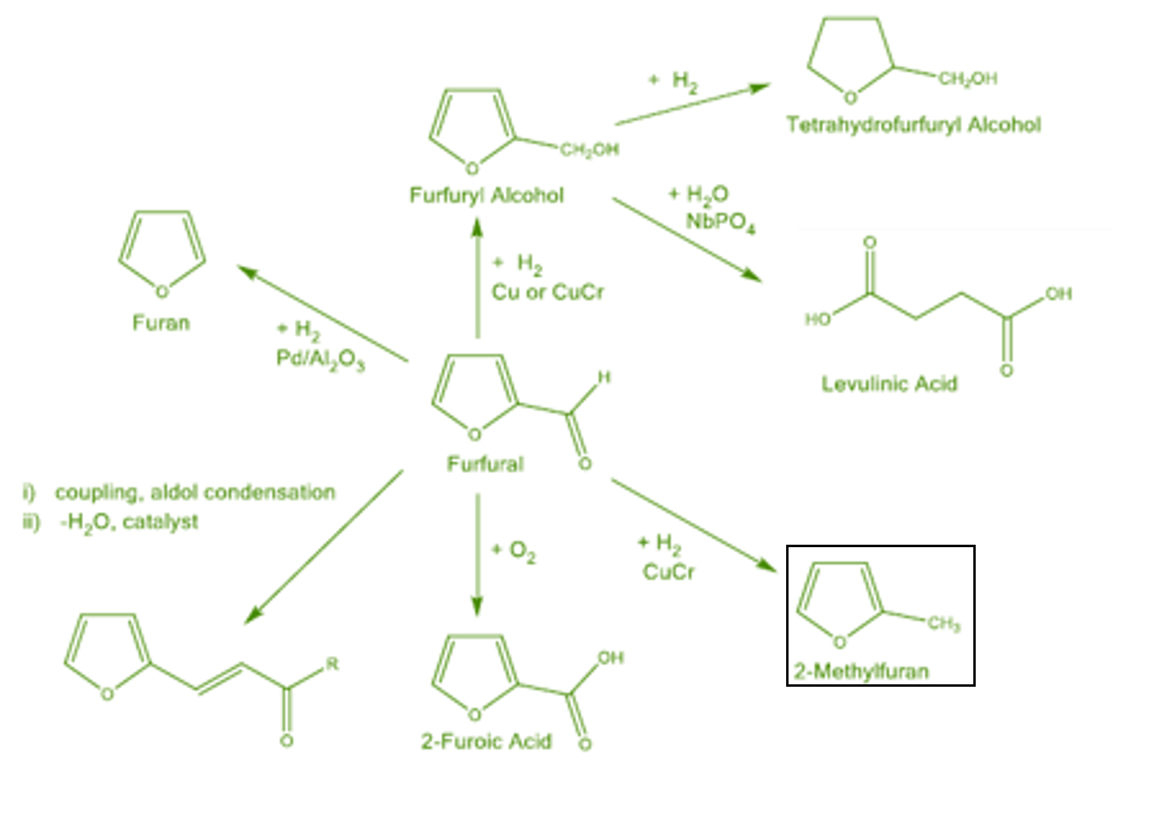 Methylfuran