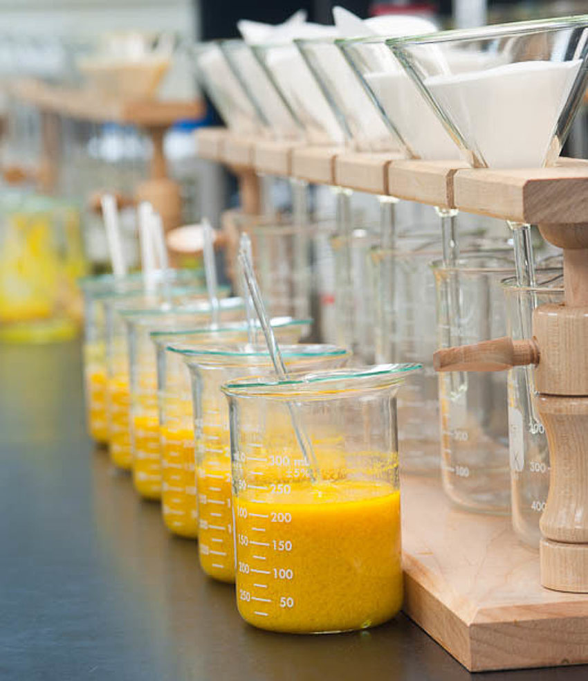 Sulfuric Acid BASF Catalysts